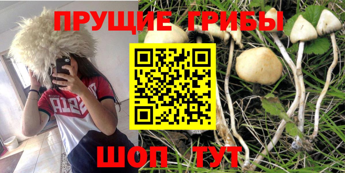 Вичуга  Псилоцибиновые грибы Cubensis  Галлюциногенные грибы ЛСД  Вход с VPN 